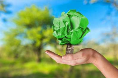 Tree made of paper held in palm of hand